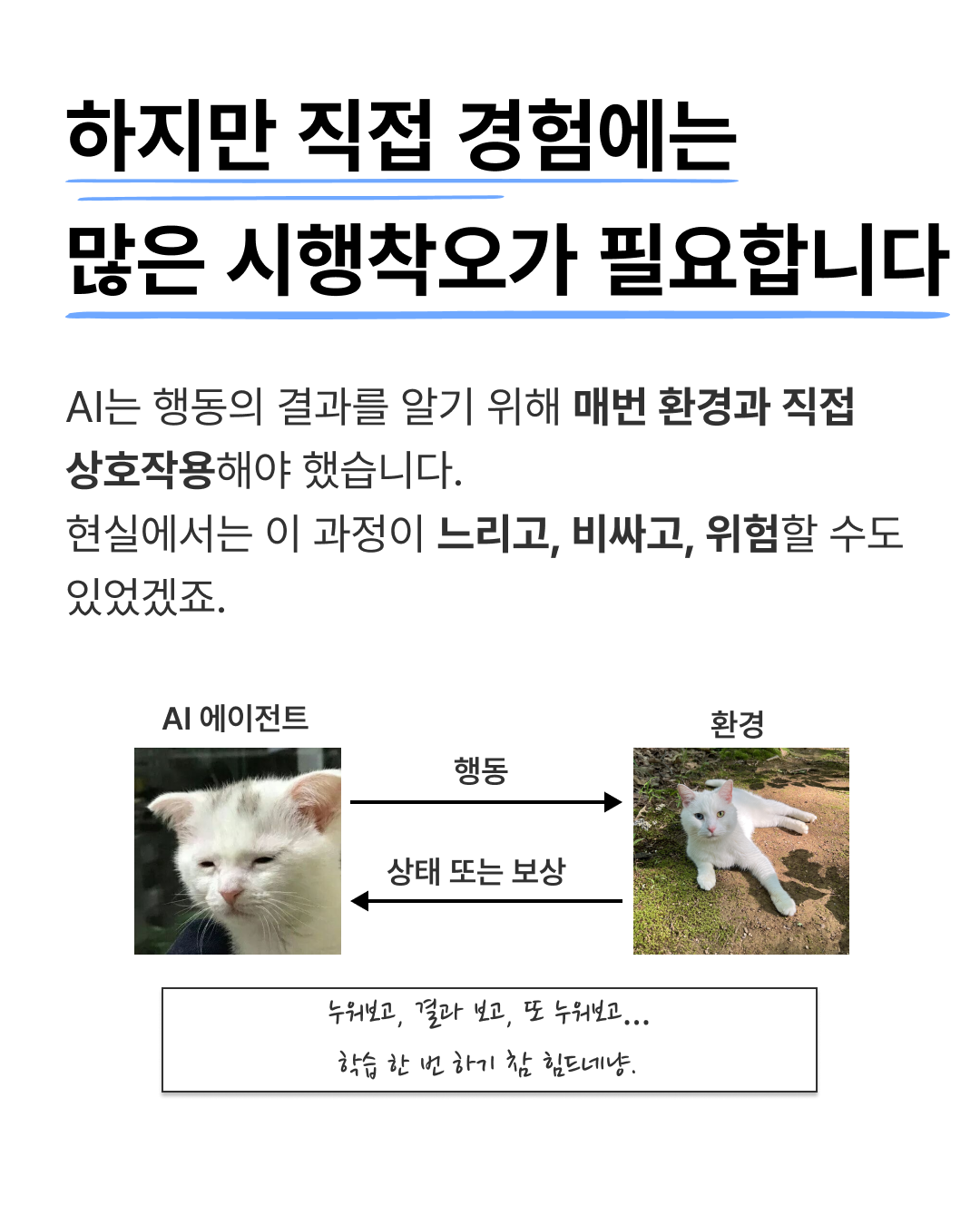 AI 거물들은 왜 지금 '월드모델'에 베팅할까? — 5 / 9